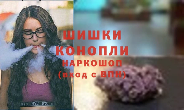 бошки Верея