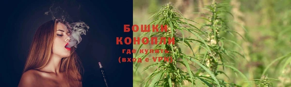 эйфоретик Мегион