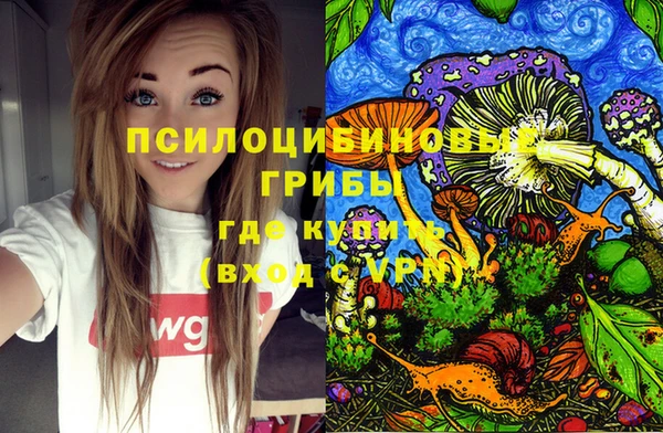 spice Медногорск