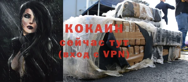 соль ск Верхний Тагил