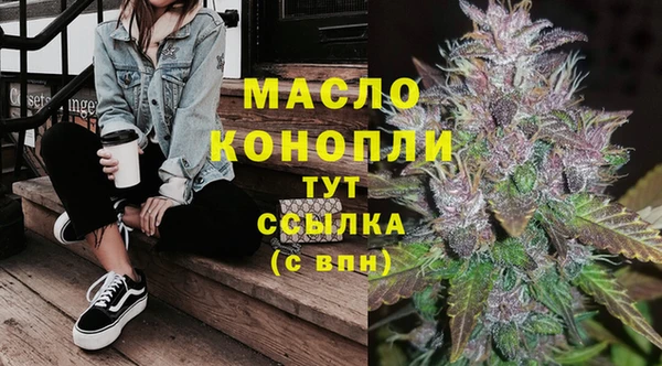 соль ск Верхний Тагил