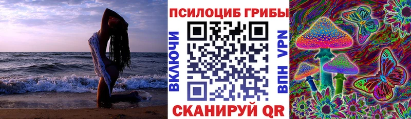Купить закладки  Кореновск  Псилоцибиновые грибы прущие грибы 